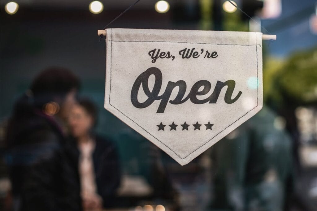 Houston small business. Should You Choose DIY or Professional Affordable Web Design?